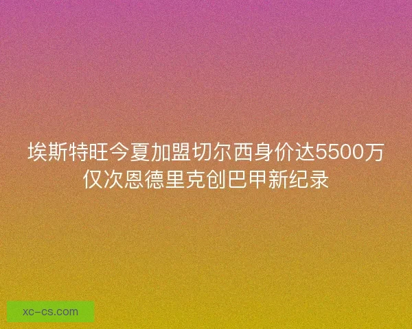 埃斯特旺今夏加盟切尔西身价达5500万仅次恩德里克创巴甲新纪录