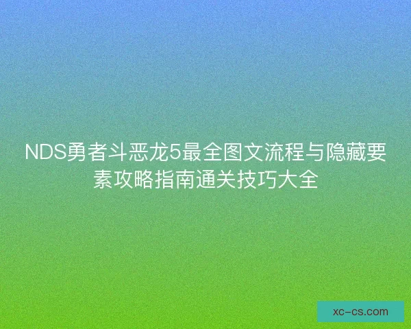 NDS勇者斗恶龙5最全图文流程与隐藏要素攻略指南通关技巧大全