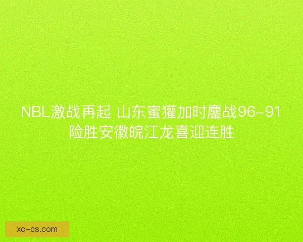 NBL激战再起 山东蜜獾加时鏖战96-91险胜安徽皖江龙喜迎连胜